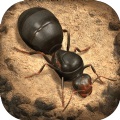 小小蚁国蚂蚁模拟器 v1.31.0