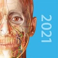 2021人体解剖学图谱v2021.1.68