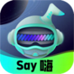 Say嗨元宇宙 v1.0.2