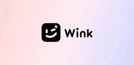 wink正式版