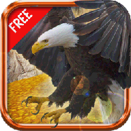 野鹰战斗幻想3D免费版v1.0.9